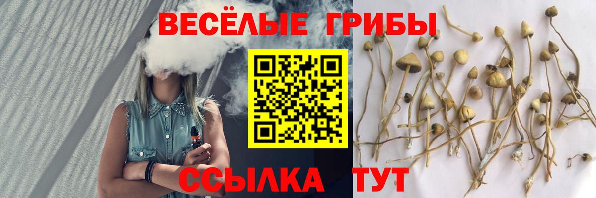 Галлюциногенные грибы прущие грибы  Вход с VPN  Псилоцибиновые грибы Psilocybine cubensis  Луховицы 